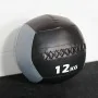 Wall Ball Professionnel Couleur 12kg