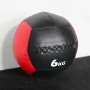 Wall Ball (Coloré) 6KG