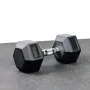 Dumbell 17,5KG