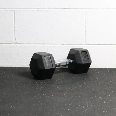 Dumbell 12,5KG